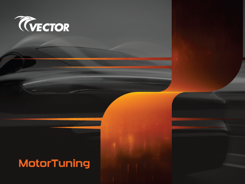 Vector Tuning Flyer Vector Tuning Flyer